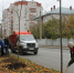 Во Владимире могут увеличить стоимость компенсационной высадки деревьев - Комсомольская правда