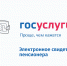 На портале Госуслуг можно получить электронное свидетельство пенсионера - Минцифры Владимирской области