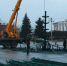 Во Владимире собирают сразу две новогодние ели: на Соборке и в Юрьевце - 6tv.Ru