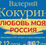 «Любовь моя – Россия»: во Владимире открывается выставка к 95-летию живописца Валерия Кокурина - Администрация области