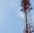 Муромские ученые получили грант на создание «сердца» для сетей 5G и 6G - PRO Город Владимир