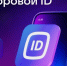 В мессенджере MAX появился новый сервис «Цифровой ID»! - Областная библиотека для детей и молодежи