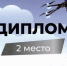 «Авиаторы» из Владимирской области успешно выступили на Всероссийском турнире «Новая высота» - Администрация области
