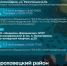 03616156-5d29-43df-8877-906cc9dd63d2 - Сетевое издание Владимирские новости