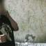 В Гусь-Хрустальном будут судить 50-летнюю женщину за убийство знакомого - Телеканал Вариант
