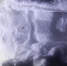 DSCN8181-800x600.jpg - ГТРК Владимир