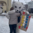 Делаем город теплее - PRO Город Владимир