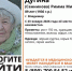 Во Владимире волонтёры «Лизы Алерт» выдвинулись на поиски пропавшей пенсионерки - Владимирские Ведомости