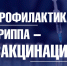 Основной способ защиты от гриппа – вакцинация - Город Владимир