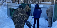 Во Владимире имеются точечные проблемы с вывозом мусора - Телеканал Вариант