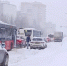 Снимок экрана 2026-02-13 091419.jpg - ГТРК Владимир