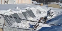 gusmarket.jpg - Zebra-TV.Ru