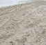 8b54f8b1-9cd2-49f8-8801-039be049a2f1.jpg - ГТРК Владимир