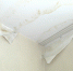 Во Владимире на контроле у прокуратуры 5 проблемных адресов с текущими крышами - Телеканал Вариант