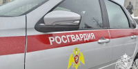 Сотрудники Росгвардии задержали подозреваемого в убийстве во Владимирской области - Росгвардия