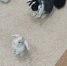 9ronZAP_T3BFrkhrH1s-zFDNdiZV0Uj4brZbcLn3nK4KAr3yzux9N8QE4VlwOhU6L-2FXoV1SMPlUB0iAQfuQKpg.jpg - ГТРК Владимир