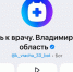 Владимирцы быстрее всего могут записаться ко врачу через мессенджер МАХ - Владимирские Ведомости