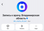 Владимирцы быстрее всего могут записаться ко врачу через мессенджер МАХ