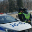 В ГАИ назвали 11 деталей авто, которые категорически нельзя менять: что может грозить за замену? - PRO Город Владимир