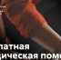 Жители Владимирской области из льготных категорий могут получить бесплатную юридическую помощь - Администрация области