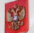 Следком разобрался в драке ореховских и костеревских подростков - Владимирские Ведомости