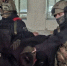 Во Владимире при силовой поддержке спецназа Росгвардии задержаны подозреваемые в хулиганских действиях - Росгвардия