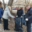 В регионе начался месячник благоустройства, очистки и озеленения территорий - Министерство ЖКХ Владимирской области