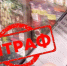 Во Владимире оштрафовали фирму по продаже нелегальных саженцев - PRO Город Владимир