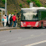 Мэрия Владимира запустит пасхальные автобусы - Zebra-TV.Ru