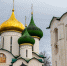 В день памяти Евфимия Суздальского совершена Божественная литургия в Спасо-Преображенском соборе - Владимирская епархия