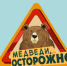 В России запускают проект «Земля медведя» - Progorod33.Ru