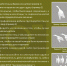 О сборе материалов по весенней охоте - Госохотинспекция Владимирской области