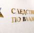 Глава Следкома Бастрыкин затребовал отчёт по факту гибели владимирских двойняшек - PRO Город Владимир
