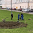 За музейным центром «Палаты» высадили розарий - Progorod33.Ru