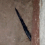 4b8e0451-fd40-40df-b972-7612420f3da9.jpg - ГТРК Владимир