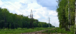 Кольчугинская прокуратура наказала арендатора за невывезенную вовремя древесину из леса