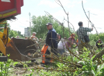 Во Владимире этим летом еженедельно будут проводить субботники