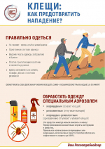 Во Владимирской области за неделю выявлено 9 инфицированных клещей