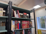 «Парк истории» на Верхней Дуброве: во Владимире открылась вторая модельная библиотека